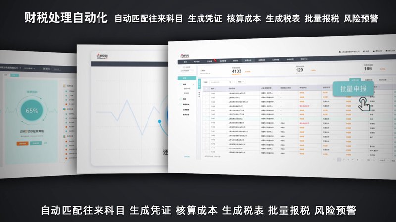 财税软件